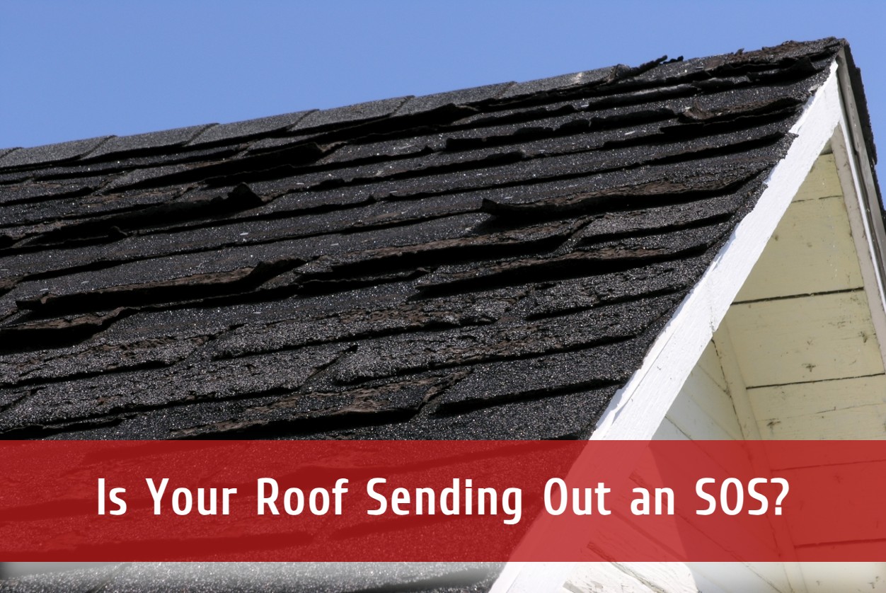 Is Your Roof Sending Out an SOS? Signs You Need Roof Repairs