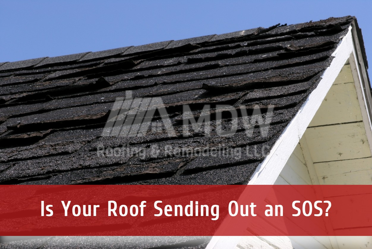 Is Your Roof Sending Out an SOS? Signs You Need Roof Repairs