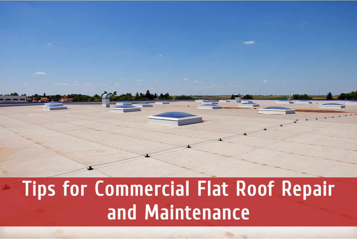 Tips for Commercial Flat Roof Repair and Maintenance