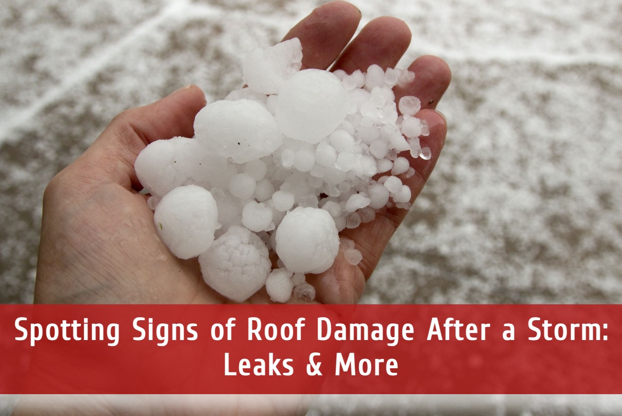 Spotting Signs of Roof Damage After a Storm: Leaks & More