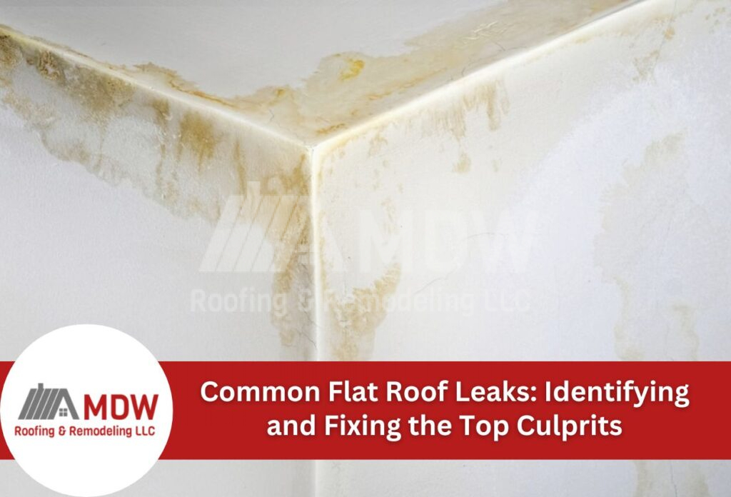 Water damage and staining on white ceiling corner from flat roof leak