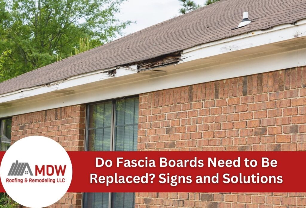Do Fascia Boards Need to Be Replaced? Signs and Solutions