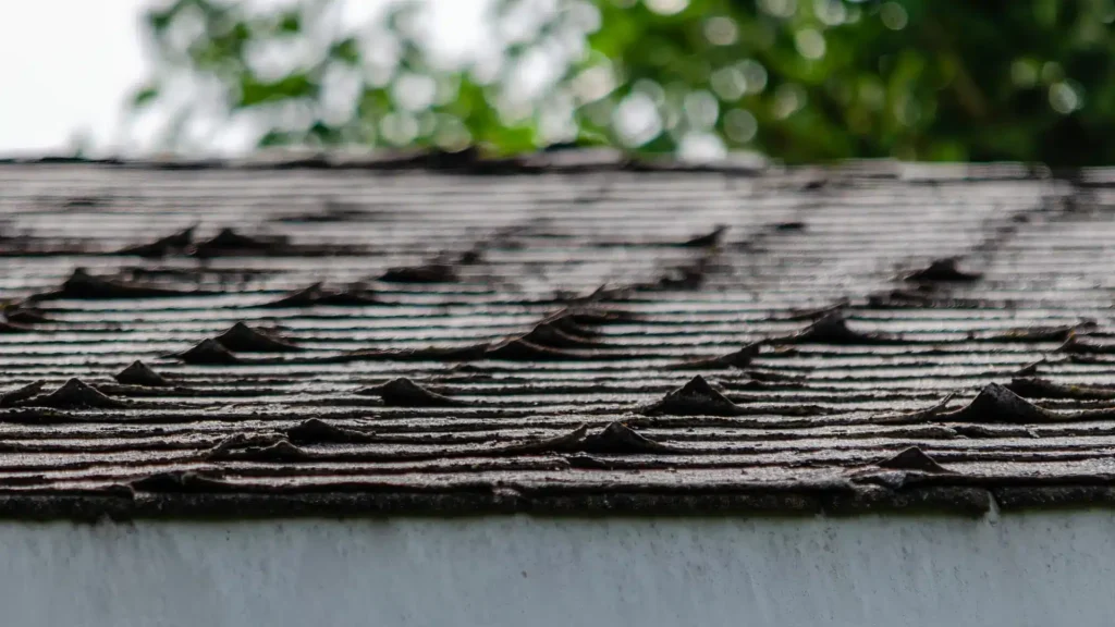 Weathered, curling roof shingles on an old roof with blurred trees in background.